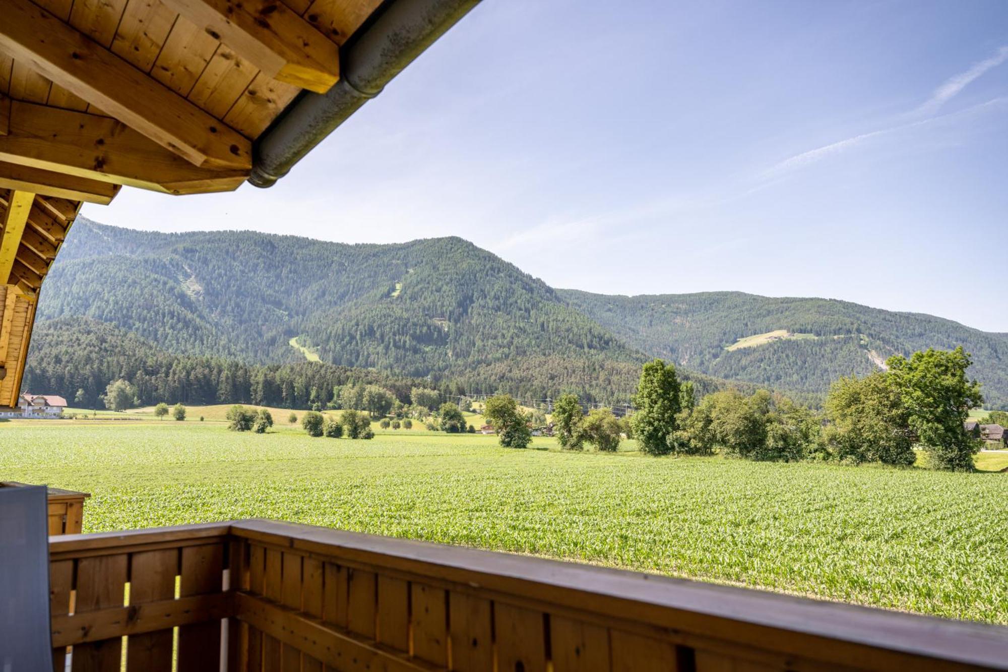 Ferienwohnung Mair Am Bach ブルーニコ エクステリア 写真