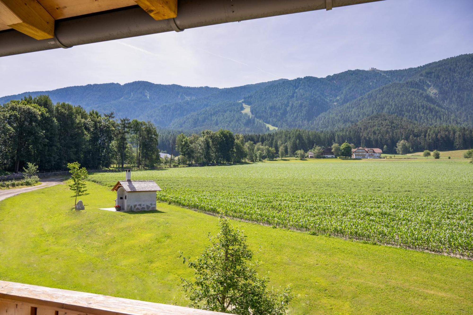 Ferienwohnung Mair Am Bach ブルーニコ エクステリア 写真